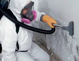 Why You Should Choose Our Mold Remediation Services in Lake Wylie, SC